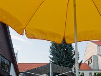 IMG 7351